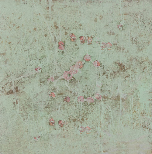 Pistachio-2R Poster Print - Melissa Renee