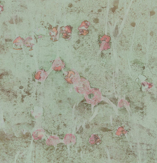 Pistachio-2L4 Poster Print - Melissa Renee