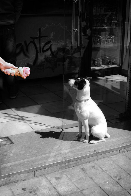 Waiting for Ice Cream Poster Print - GST
