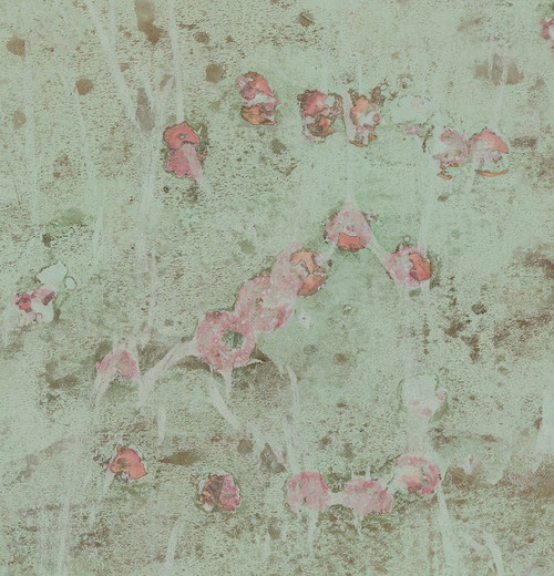 Pistachio-2L3 Poster Print - Melissa Renee