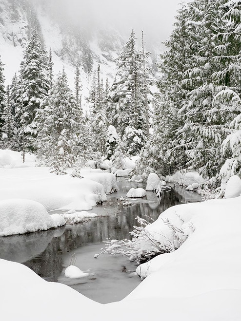 Washington State- Central Cascades. Granite Creek winter scene Poster Print - Jamie and Wild