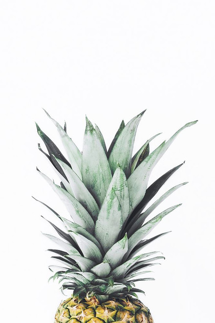 Pineapple Poster Print - and Seb Sisi