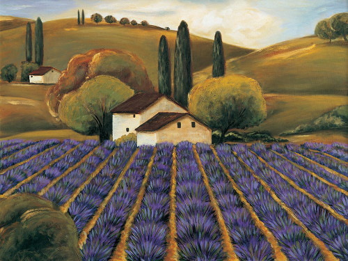 Field of Lavender I Poster Print - Michael Cooper