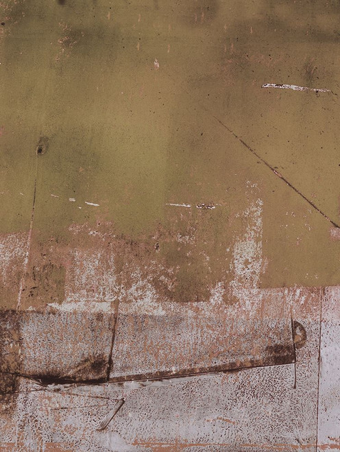 Lariat-L2 Poster Print - Melissa Renee