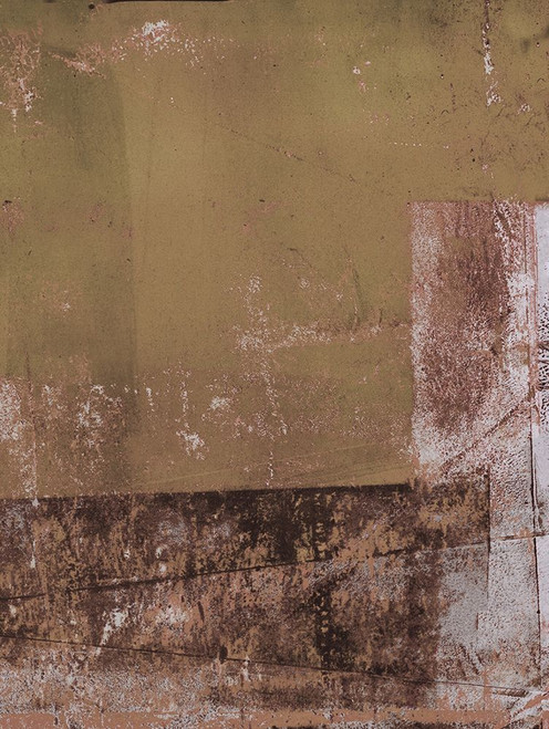 Lariat-R1 Poster Print - Melissa Renee