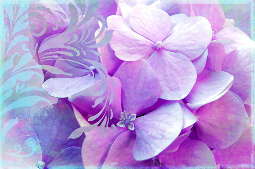 Adoration Poster Print - Tina Lavoie