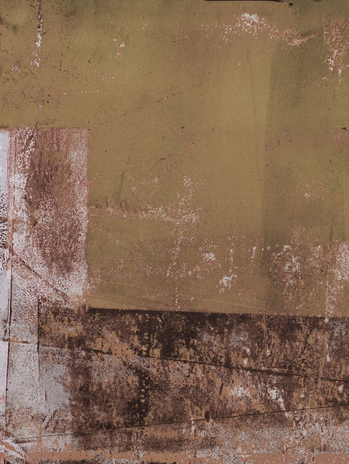 Lariat-L1 Poster Print - Melissa Renee