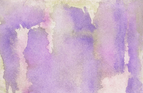 Dip-6 Poster Print - Melissa Renee