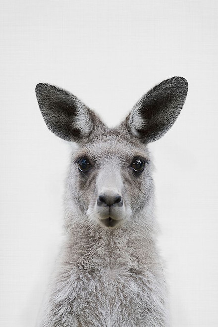 Mrs. Kangaroo Poster Print - and Seb Sisi