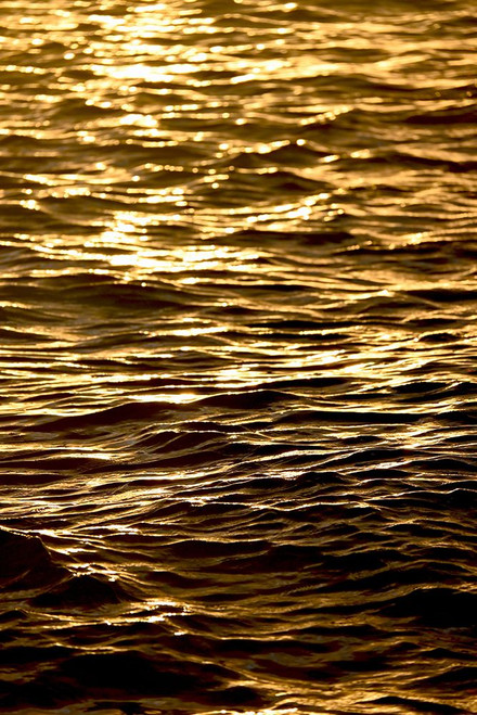 Glowing Golden Sea Poster Print - Melissa Nebula