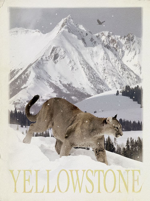 Mountain Lion Poster Print - Red Truck Old