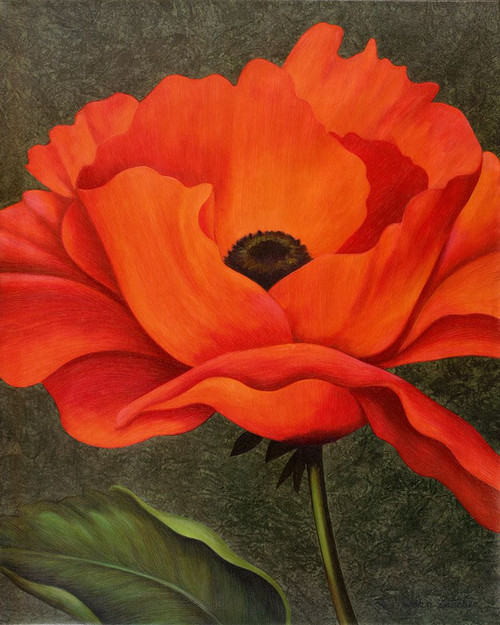 Red Poppy Poster Print - John Zaccheo