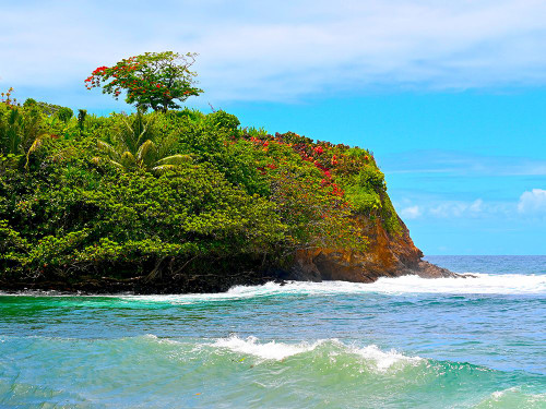 Honolii Cove Poster Print - Melissa Nebula