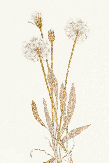 Planting Gold Botanical 2 Poster Print - GST