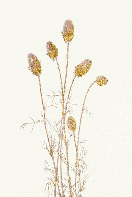 Planting Gold Botanical 1 Poster Print - GST