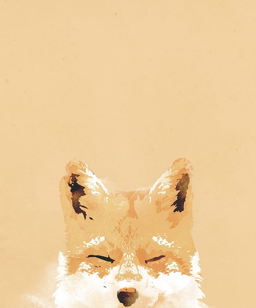 Smiling Fox Poster Print - Robert Farkas