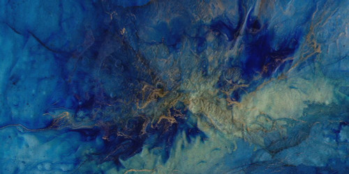 Regal-L2 Poster Print - Melissa Renee