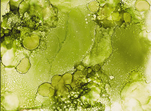 Bubbles-MG Poster Print - Melissa Renee