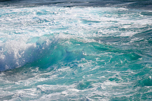 Shoreline Poster Print - Melissa Nebula