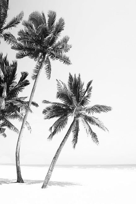 Island Poster Print - and Seb Sisi Island Poster Print - and Seb Sisi