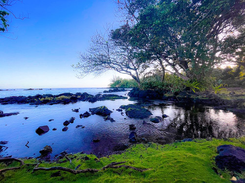 Still Of The Morning Poster Print - Melissa Nebula