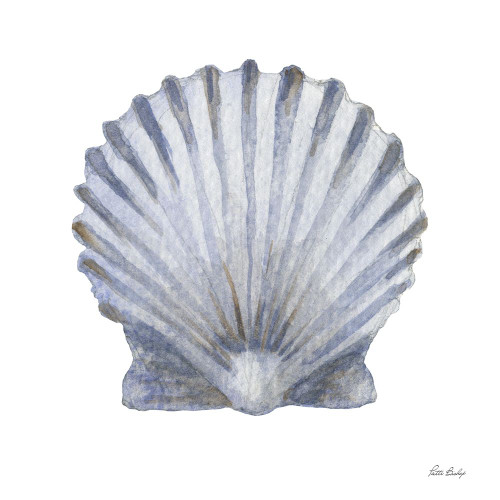 Blue Scallop Poster Print - Patti Bishop