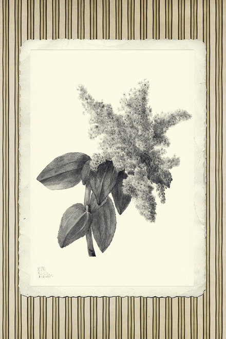 Black and Beige Pinstripe Botanical Lilac Poster Print - GST