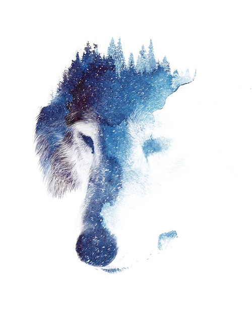 Through Many Storms Poster Print - Robert Farkas
