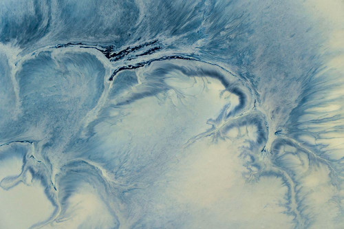 Wispy Poster Print - de Vlas Meikle