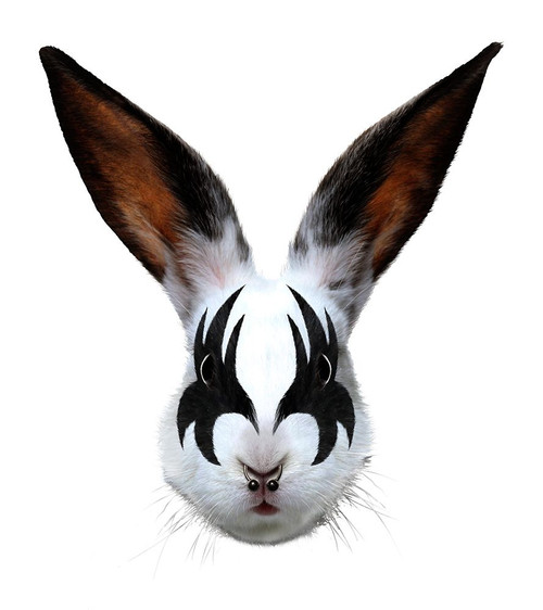 Kiss Of A Rabbit Poster Print - Robert Farkas