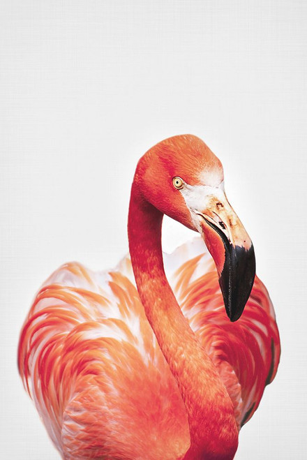 Flamingo Poster Print - and Seb Sisi