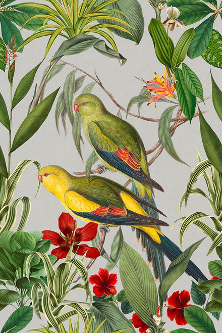 Parakeets Tropical Garden  II Poster Print - Andrea Haase