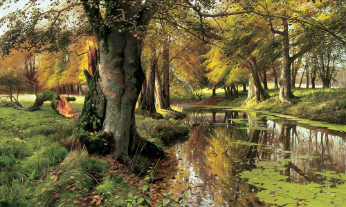 A Woodland Stream Poster Print - Peder Monsted