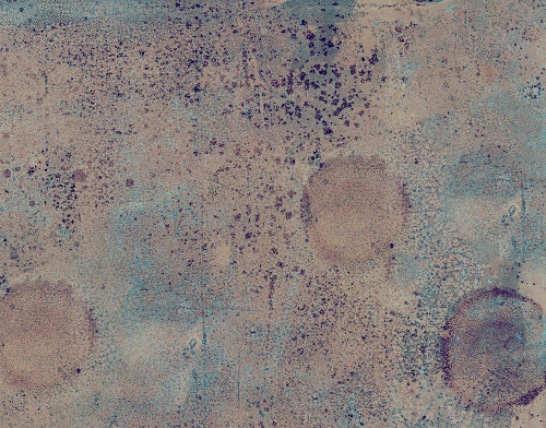 Market-3NR Poster Print - Melissa Renee