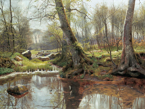 A Woodland Spring Poster Print - Peder Monsted