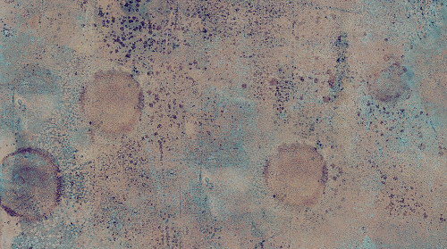 Market-2NR Poster Print - Melissa Renee