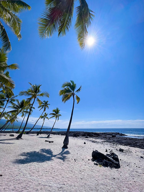 Walking Into Forgiveness Poster Print - Melissa Nebula