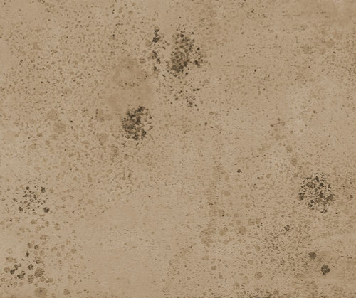 Proseco-SMR1 Poster Print - Melissa Renee