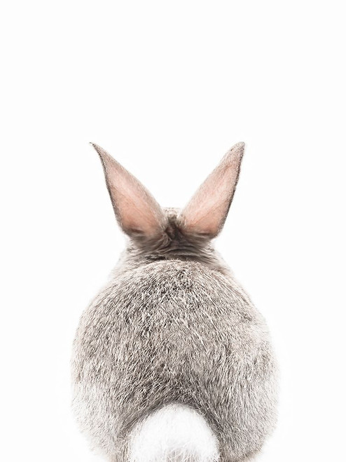 Bunny Tail Poster Print - and Seb Sisi
