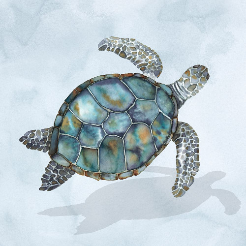 Blue Sea Turtle I Poster Print - And Slyp Errico