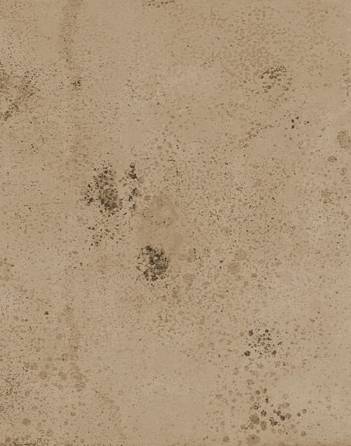 Proseco-SML Poster Print - Melissa Renee