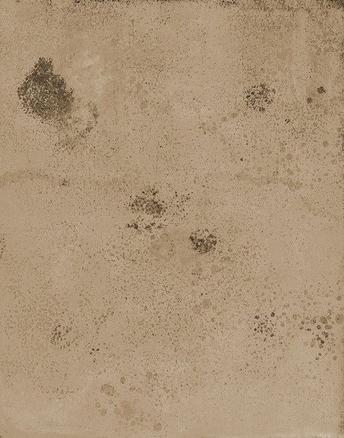 Proseco-SR Poster Print - Melissa Renee