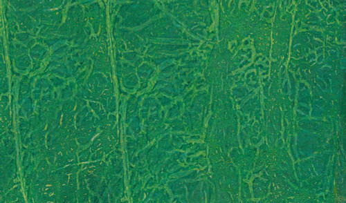 Interwoven-4L Poster Print - Melissa Renee