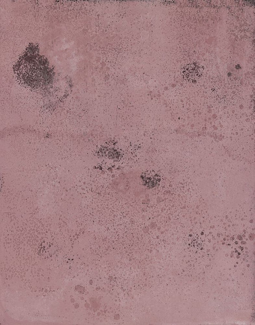 Proseco-R Poster Print - Melissa Renee