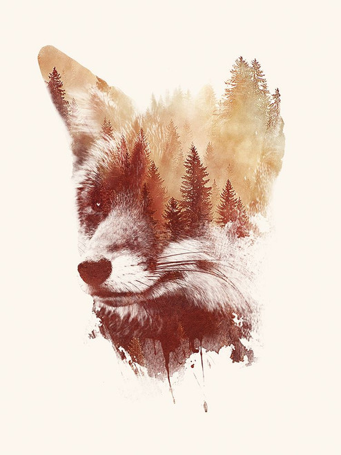 Blind Fox Poster Print - Robert Farkas