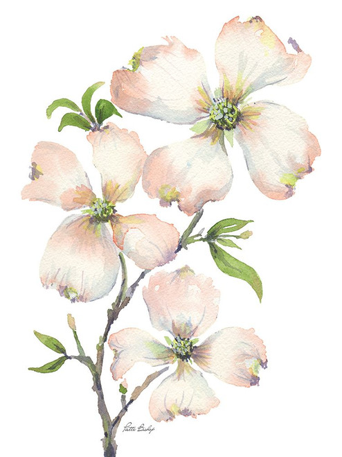 Dogwood Bunch Poster Print - Patti Bishop