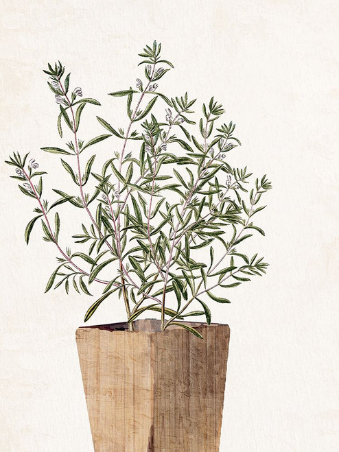 House Plant 1 Poster Print - Kimberly Allen