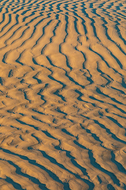 Guerrero Negro- Mulege- Baja California Sur- Mexico. Sand dunes at sunset along the western coast. Poster Print - Emily M. Wilson