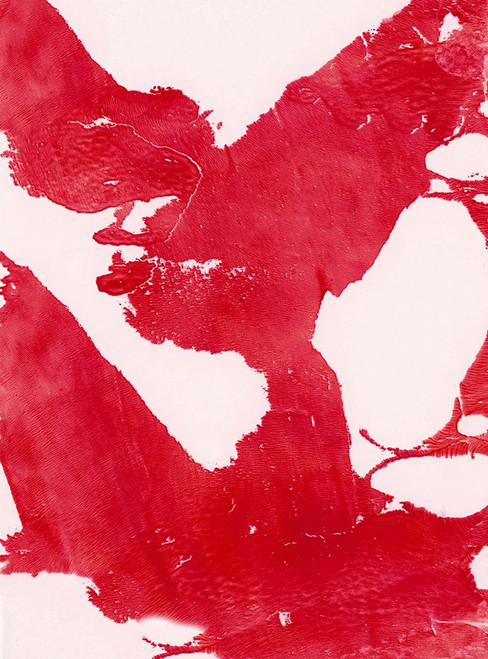 Marmalade-R2 Poster Print - Melissa Renee