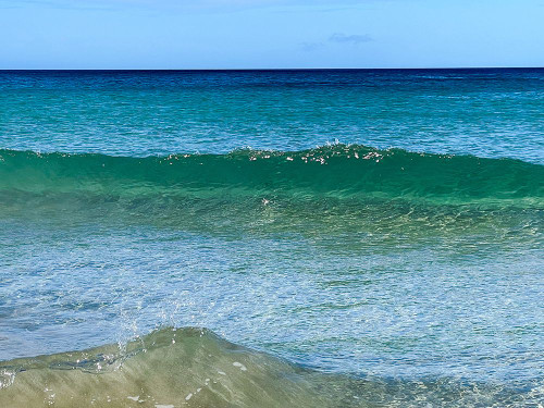 Gentle Clarity Poster Print - Melissa Nebula